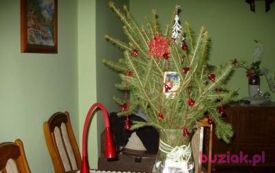 RYSZARD, Mężczyzna, 87, Włocławek, Polska, Zdjęcie: 6