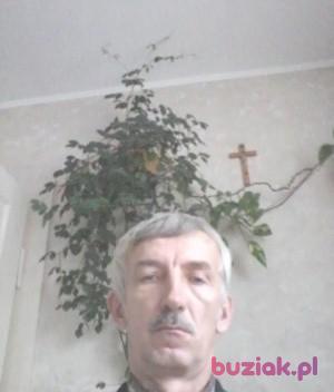 artek7, Mężczyzna, 61, Brzozów, Polska, Zdjęcie: 2