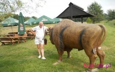 gorgon1, Mężczyzna, 72, Wrocław, Polska, Zdjęcie: 14