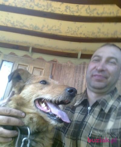 Adam, Mężczyzna, 46, Jarosław, Polska, Zdjęcie: 6
