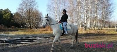 Piotrvip, Mężczyzna, 43, Greenwich, USA, Zdjęcie: 2