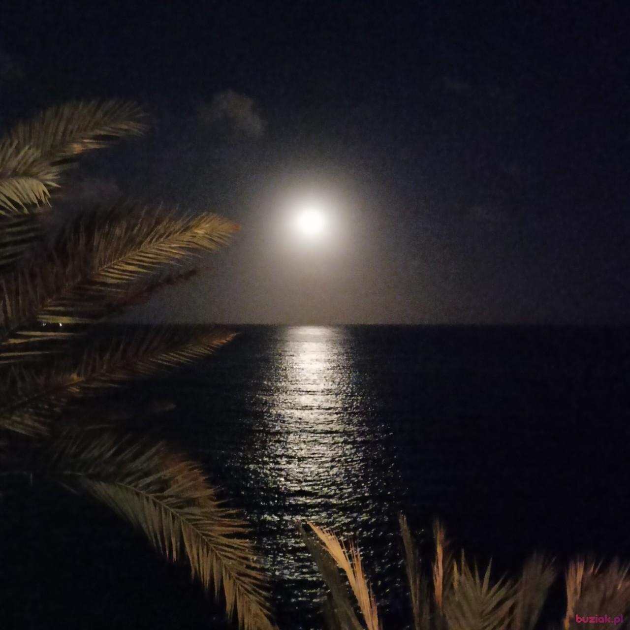 MACIEJ, Male, 47, Niemcy, Photo: 9