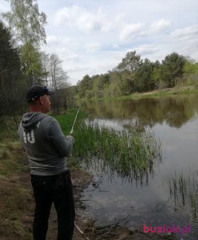 Tomasz, Mężczyzna, 50, Pruszcz Gdański, Polska, Zdjęcie: 5