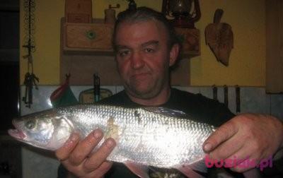 bonifacy, Mężczyzna, 66, Kraków, Polska, Zdjęcie: 3