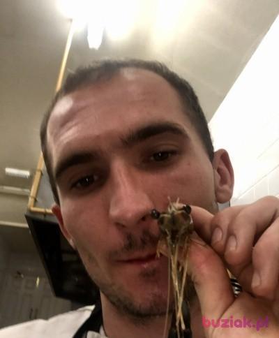Dominik, Male, 31, Hambleton, Wielka Brytania, Photo: 1