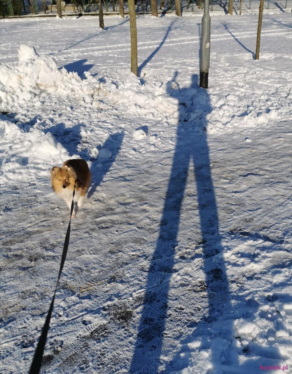 Tomek, Mężczyzna, 54, Poznań, Polska, Zdjęcie: 17
