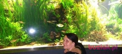 Agata, Kobieta, 49, Katowice, Polska, Zdjęcie: 2