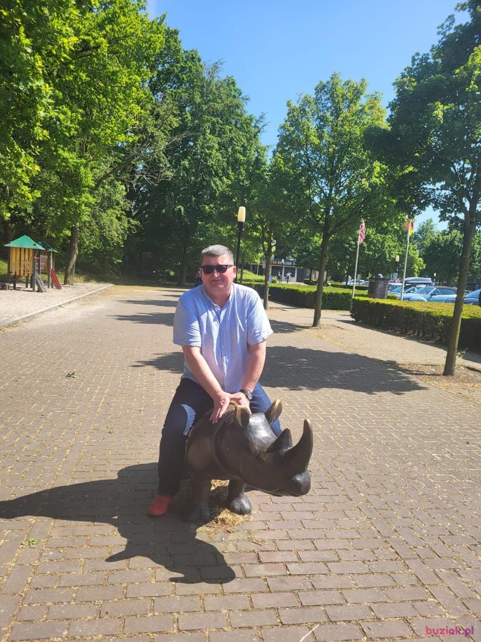 Artur, Mężczyzna, 61, 's-Hertogenbosch, Holandia, Zdjęcie: 4