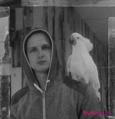 Kamil, Mężczyzna, 31, Szczecin, Polska, Zdjęcie: 2