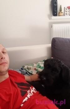 Krzysztof, Mężczyzna, 38, Holandia, Zdjęcie: 5