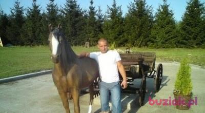 Adam, Mężczyzna, 44, Szczecin, Polska, Zdjęcie: 2