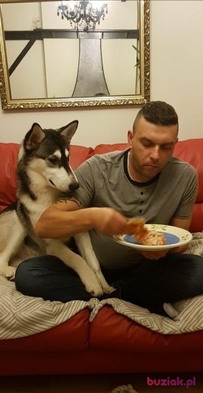 robert, Mężczyzna, 50, Boston, Wielka Brytania, Zdjęcie: 3
