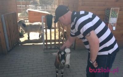 kamil, Mężczyzna, 42, Zielona Góra, Polska, Zdjęcie: 2