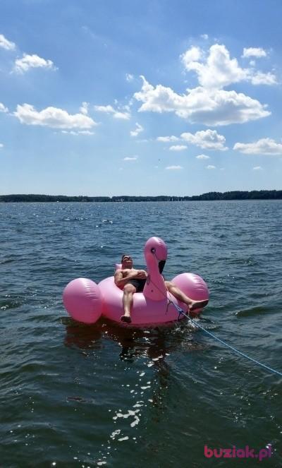 Kuba, Mężczyzna, 28, Warszawa, Polska, Zdjęcie: 3