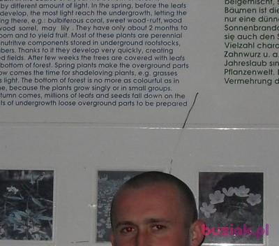 ANDRZEJ, Mężczyzna, 45, Szczecin, Polska, Zdjęcie: 2