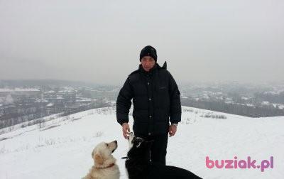 Ryszard, Mężczyzna, 60, Katowice, Polska, Zdjęcie: 4