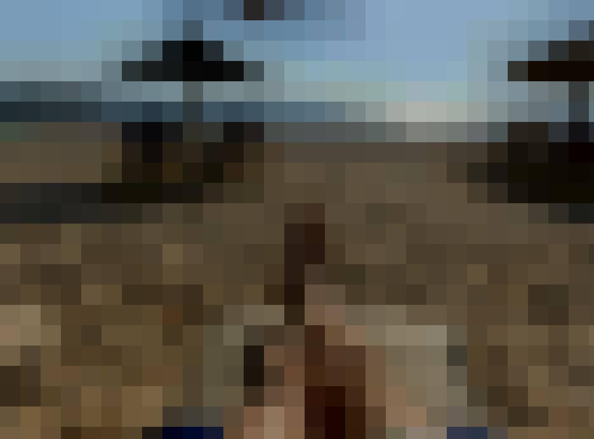 Mart, Male, 57, Eindhoven, Holandia, Photo: 2
