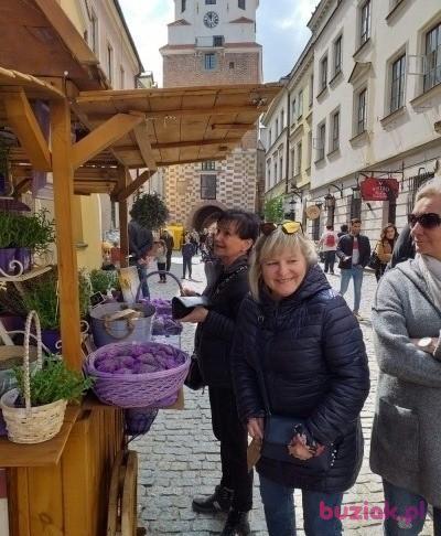 Elza, Kobieta, 66, Warszawa, Polska, Zdjęcie: 8