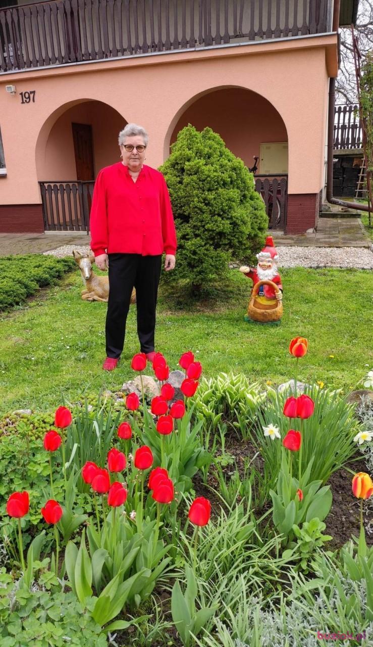 Ewa, Kobieta, 64, Przeworsk, Polska, Zdjęcie: 10