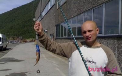 Marcin, Mężczyzna, 45, Police, Polska, Zdjęcie: 3