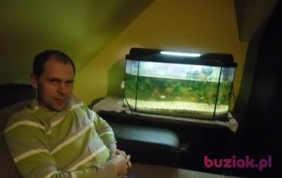 Mariusz, Mężczyzna, 42, Braniewo, Polska, Zdjęcie: 2