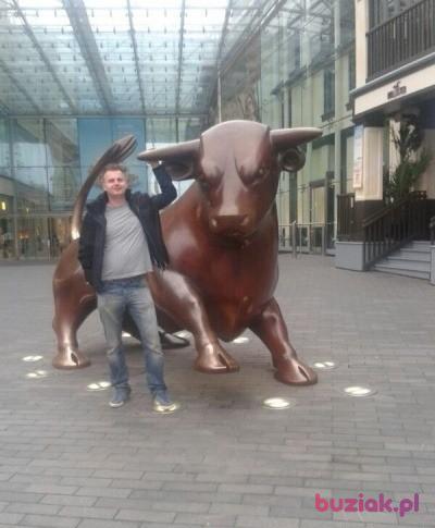 Andrzej, Mężczyzna, 37, Gorzów Wielkopolski, Polska, Zdjęcie: 2