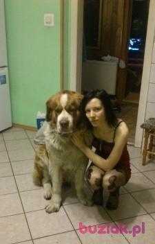 Estera, Kobieta, 32, Tarnowskie Góry, Polska, Zdjęcie: 2