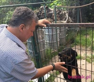 Jurek, Mężczyzna, 56, Dzierżoniów, Polska, Zdjęcie: 5