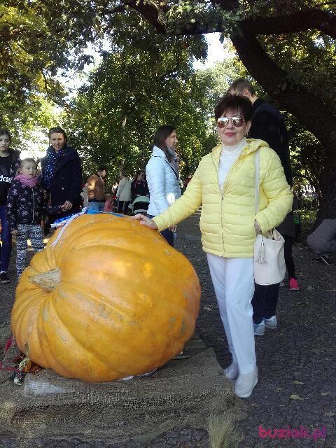 Elżbieta, Female, 72, Wrocław, Polska, Photo: 3