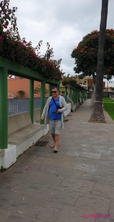 Henryk, Mężczyzna, 64, Gliwice, Polska, Zdjęcie: 12