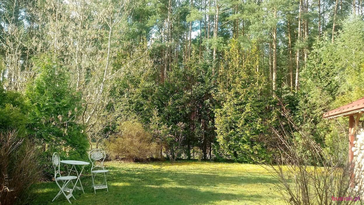 Jarek, Mężczyzna, 56, Sława, Polska, Zdjęcie: 2