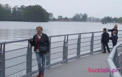 Małgosia, Kobieta, 64, Radomsko, Polska, Zdjęcie: 4