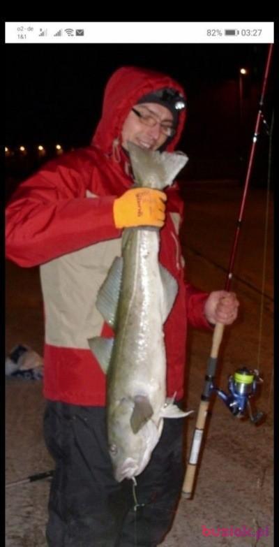 Ariel, Mężczyzna, 42, Leipzig, Niemcy, Zdjęcie: 7
