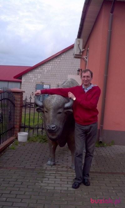 Marek, Mężczyzna, 63, Będzin, Polska, Zdjęcie: 1