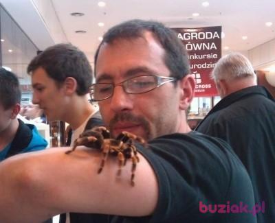 Tomasz, Mężczyzna, 50, Poznań, Polska, Zdjęcie: 2