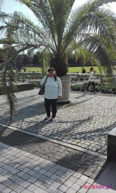 małgorzata, Kobieta, 59, Tychy, Polska, Zdjęcie: 5