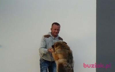 Mariusz, Mężczyzna, 51, Skarżysko-Kamienna, Polska, Zdjęcie: 2