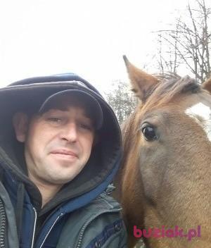 Robert, Mężczyzna, 43, Polska, Zdjęcie: 2