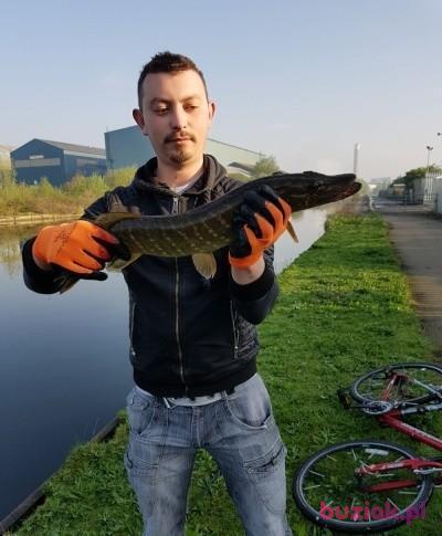 Adrian, Male, 32, Westminster, Wielka Brytania, Photo: 3