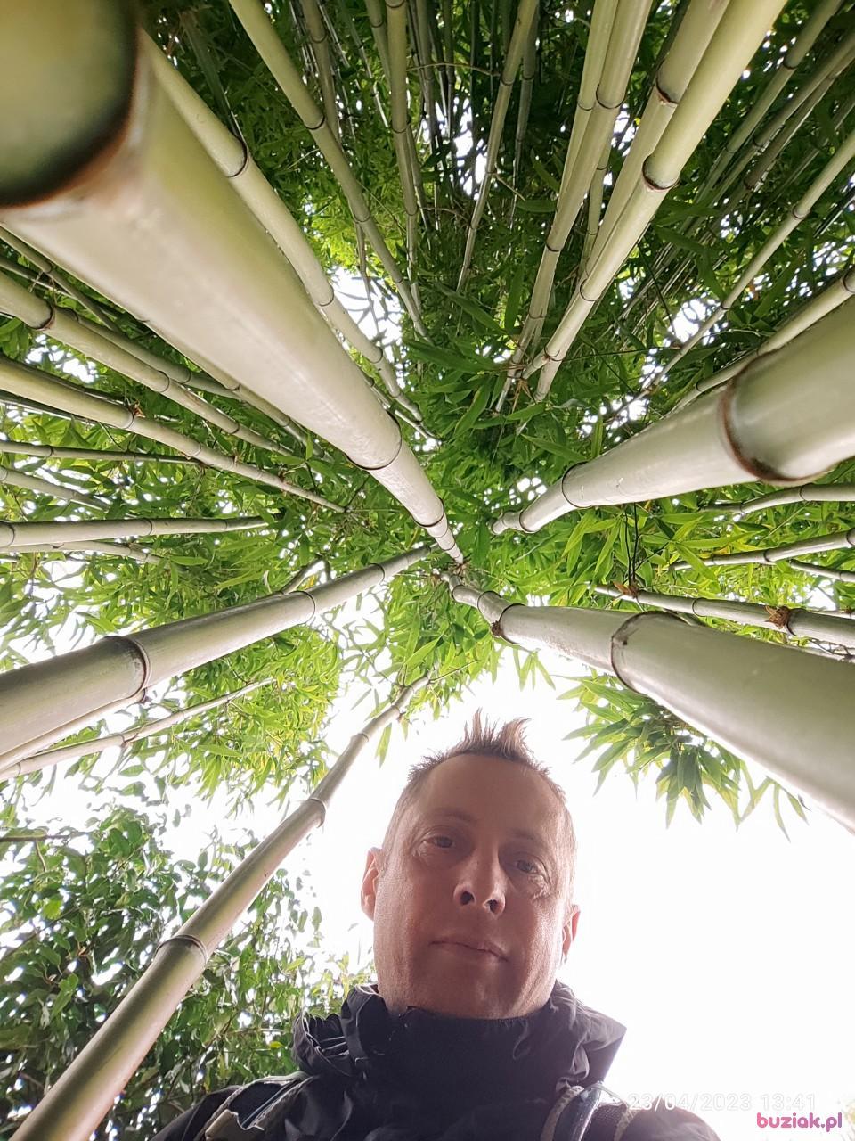 Tomek, Mężczyzna, 45, Broxbourne, Wielka Brytania, Zdjęcie: 6