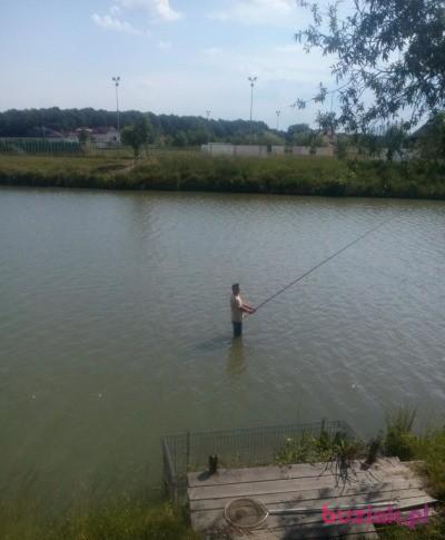 Mariusz , Mężczyzna, 40, Niepołomice, Polska, Zdjęcie: 2