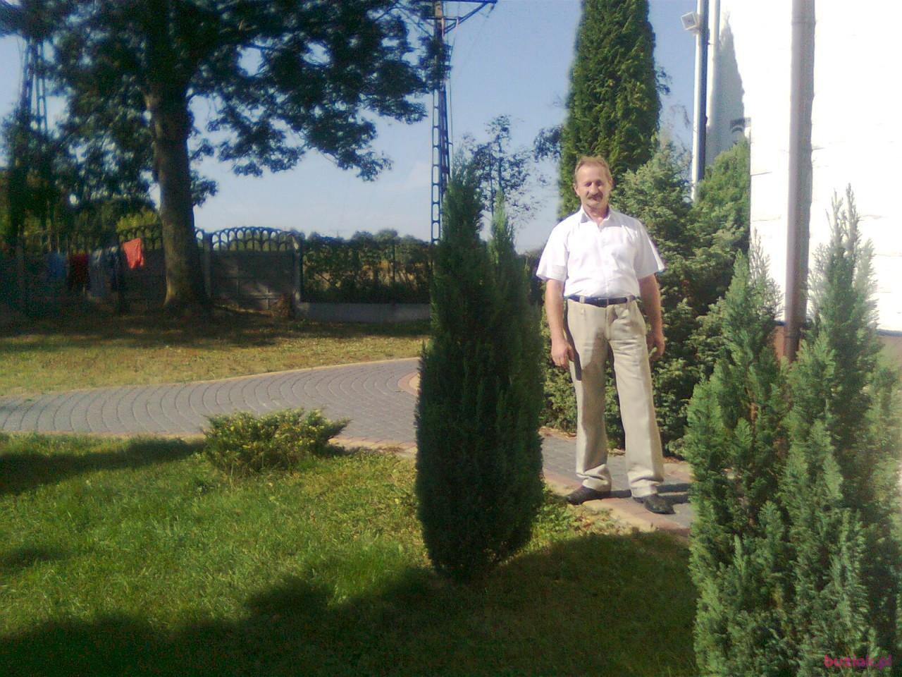 Zbigniew, Mężczyzna, 67, Milanówek, Polska, Zdjęcie: 4