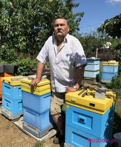 Witek, Male, 72, Tuszyn, Polska, Photo: 3