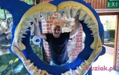 sebastian, Mężczyzna, 45, Wielka Brytania, Zdjęcie: 1