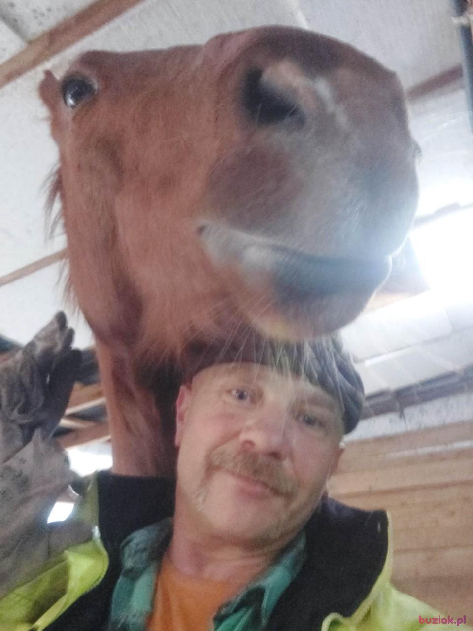 romek, Mężczyzna, 54, Krzeszowice, Polska, Zdjęcie: 4