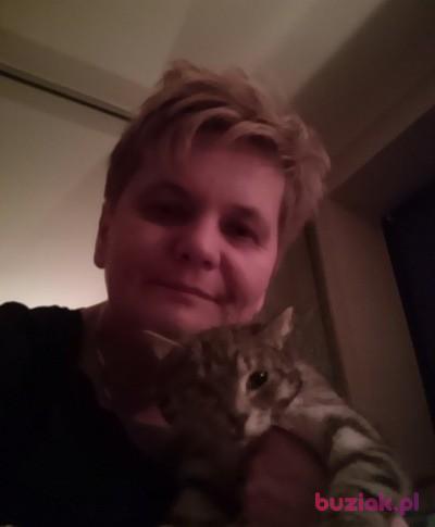 Iwona, Kobieta, 50, Grodzisk Mazowiecki, Polska, Zdjęcie: 2