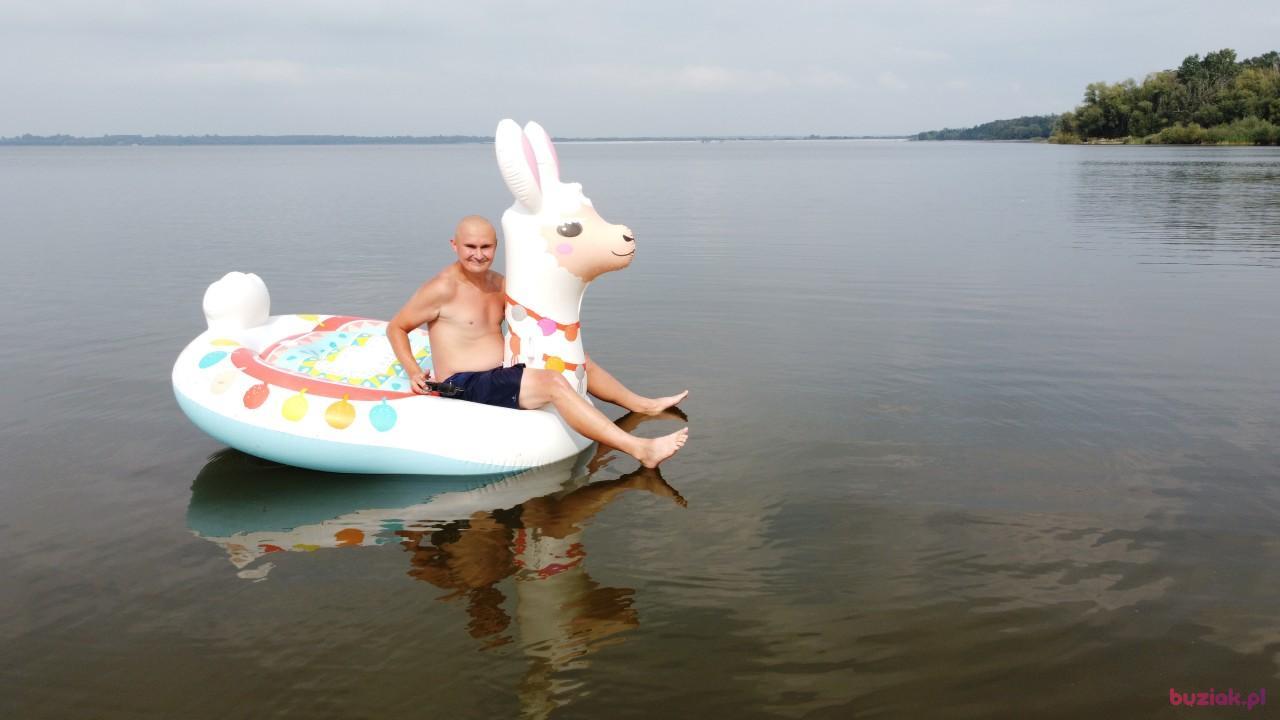 Michał, Male, 37, Zgierz, Polska, Photo: 689