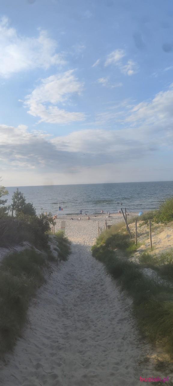 Cezary, Mężczyzna, 40, Piaseczno, Polska, Zdjęcie: 2