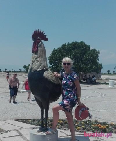 Mariola, Kobieta, 61, Żyrardów, Polska, Zdjęcie: 5