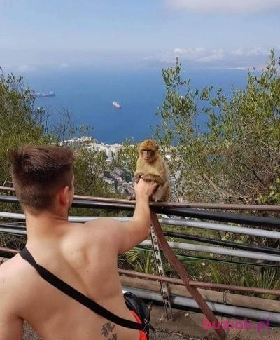 Marcin, Mężczyzna, 34, Olsztyn, Polska, Zdjęcie: 2